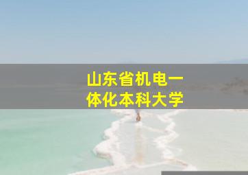 山东省机电一体化本科大学