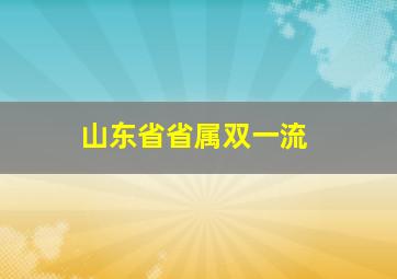 山东省省属双一流