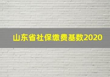 山东省社保缴费基数2020