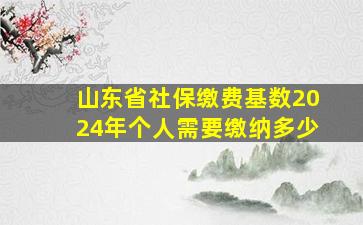 山东省社保缴费基数2024年个人需要缴纳多少