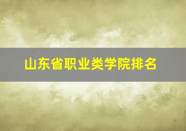 山东省职业类学院排名