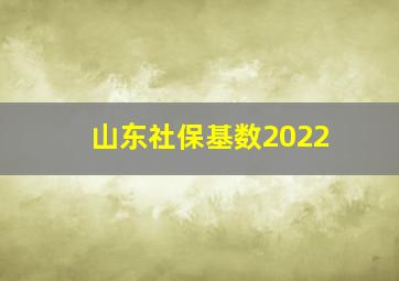 山东社保基数2022