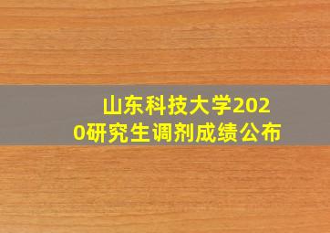 山东科技大学2020研究生调剂成绩公布