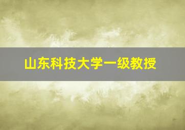 山东科技大学一级教授