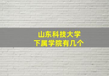 山东科技大学下属学院有几个