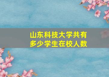 山东科技大学共有多少学生在校人数