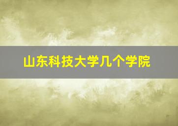 山东科技大学几个学院