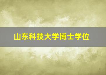 山东科技大学博士学位