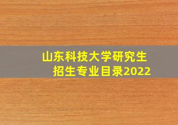 山东科技大学研究生招生专业目录2022