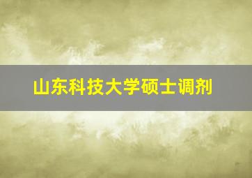 山东科技大学硕士调剂