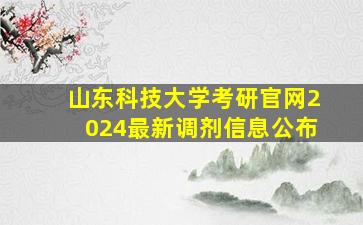 山东科技大学考研官网2024最新调剂信息公布