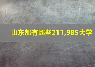 山东都有哪些211,985大学