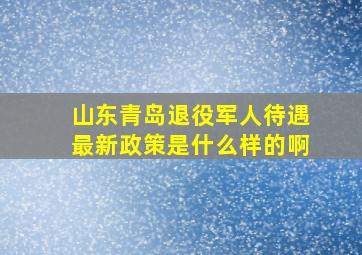 山东青岛退役军人待遇最新政策是什么样的啊