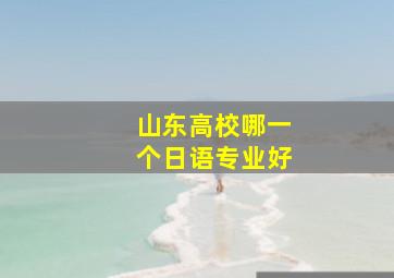 山东高校哪一个日语专业好