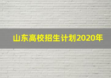 山东高校招生计划2020年