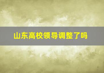 山东高校领导调整了吗