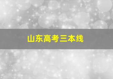 山东高考三本线