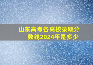 山东高考各高校录取分数线2024年是多少