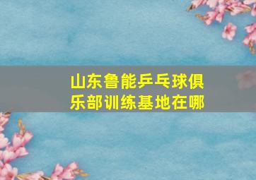 山东鲁能乒乓球俱乐部训练基地在哪