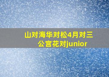 山对海华对松4月对三公宫花对junior