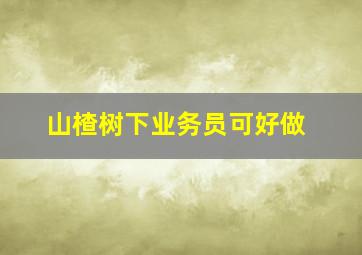 山楂树下业务员可好做