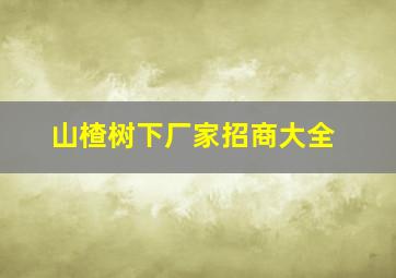 山楂树下厂家招商大全