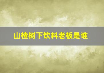 山楂树下饮料老板是谁