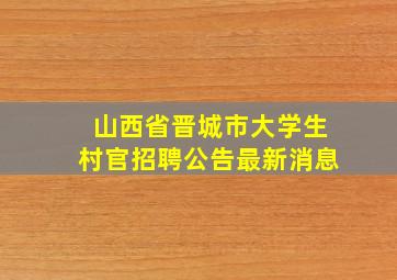 山西省晋城市大学生村官招聘公告最新消息