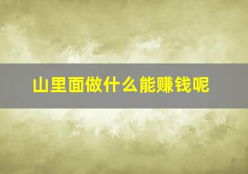 山里面做什么能赚钱呢