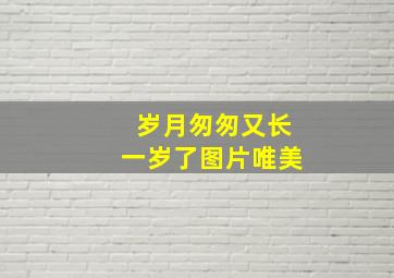 岁月匆匆又长一岁了图片唯美