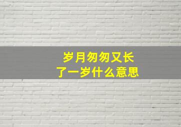 岁月匆匆又长了一岁什么意思