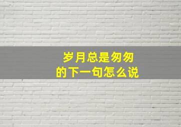 岁月总是匆匆的下一句怎么说