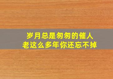 岁月总是匆匆的催人老这么多年你还忘不掉