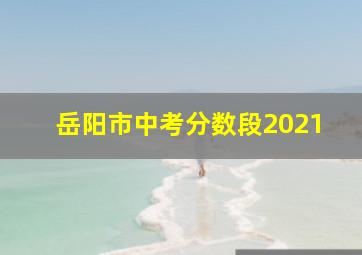 岳阳市中考分数段2021