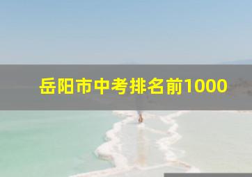 岳阳市中考排名前1000