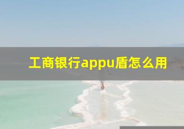 工商银行appu盾怎么用