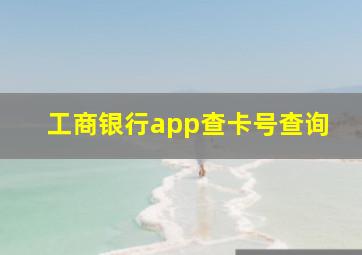 工商银行app查卡号查询