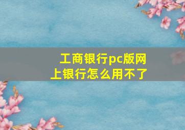 工商银行pc版网上银行怎么用不了