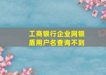 工商银行企业网银盾用户名查询不到