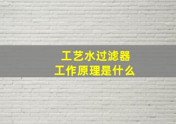 工艺水过滤器工作原理是什么