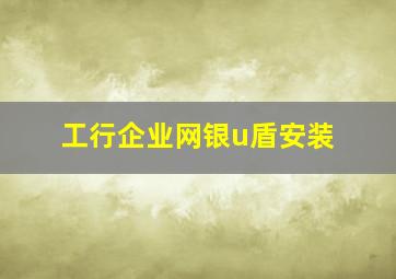 工行企业网银u盾安装