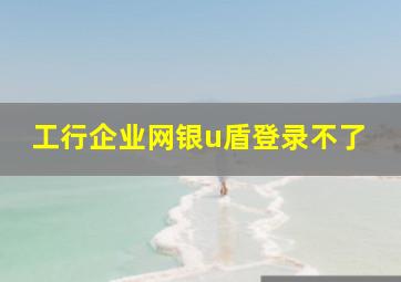 工行企业网银u盾登录不了