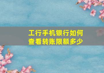 工行手机银行如何查看转账限额多少