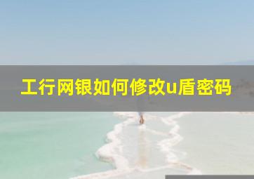 工行网银如何修改u盾密码