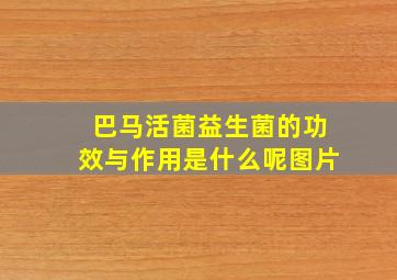 巴马活菌益生菌的功效与作用是什么呢图片