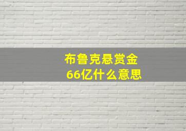 布鲁克悬赏金66亿什么意思