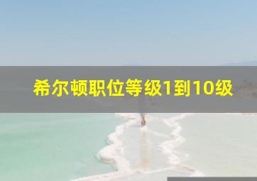 希尔顿职位等级1到10级