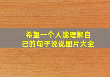 希望一个人能理解自己的句子说说图片大全