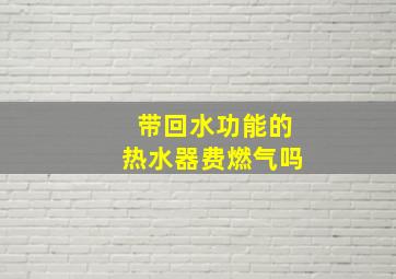 带回水功能的热水器费燃气吗