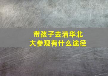 带孩子去清华北大参观有什么途径